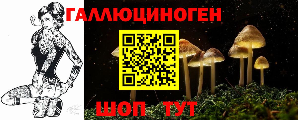 Лесной  Галлюциногенные грибы мухоморы  Вход с VPN 